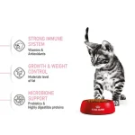 غذای خشک بچه گربه عقیم شده رویال کنین Royal Canin Kitten Sterilised وزن 2 کیلوگرم 904984988949