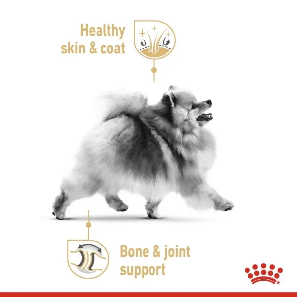 غذای خشک سگ بالغ رویال کنین با طعم مرغ Royal Canin Adult Pomeranian وزن 3 کیلوگرم 049849499