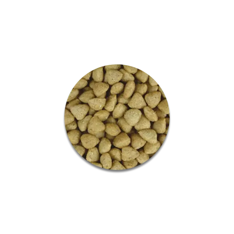 غذای خشک بچه گربه جوسرا با طعم گوشت پرندگان JosiCat Kitten Poultry وزن 10 کیلوگرم 604989409